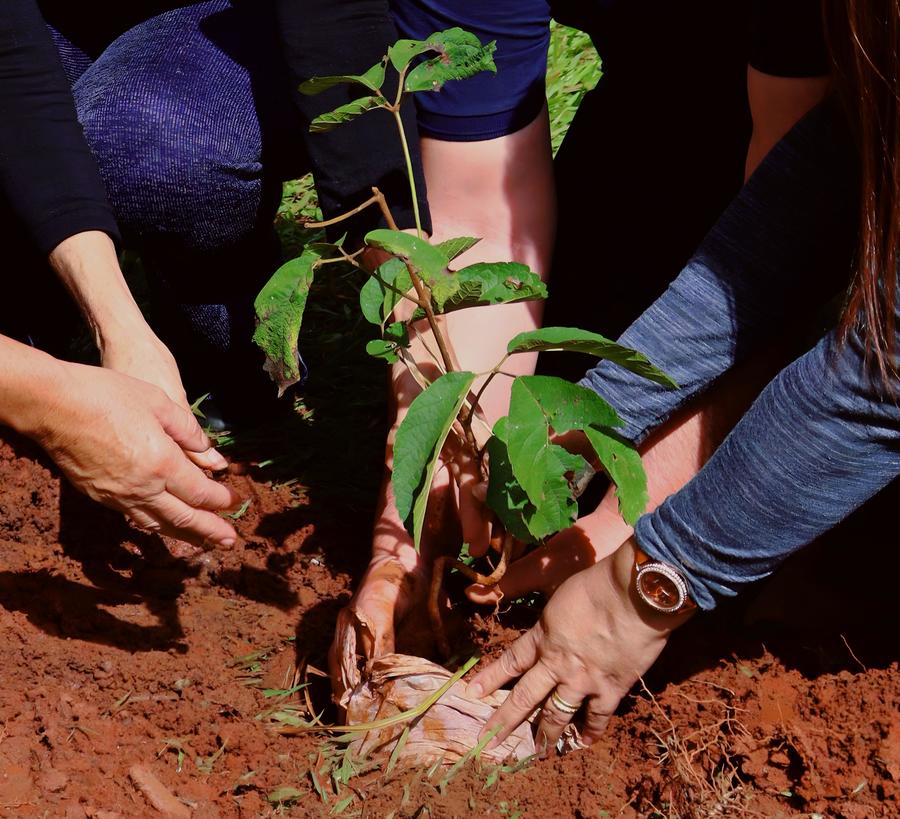 Prefeitura de Anaurilândia realiza ações nas escolas em comemoração à Semana do Meio Ambiente
