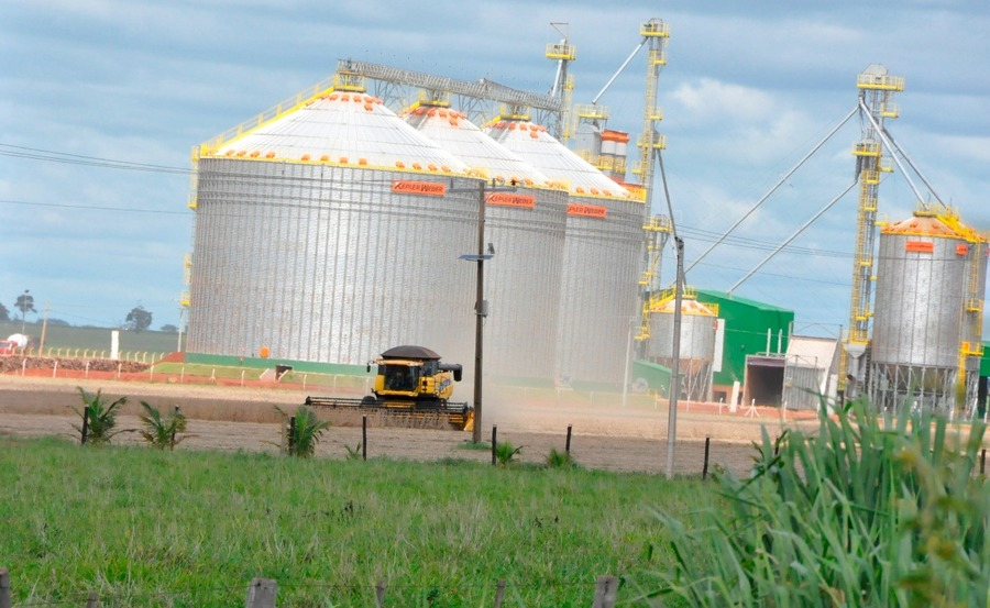 Com ‘salto’ recorde, produção de soja coloca Anaurilândia em patamar de destaque fomentando agricultura local